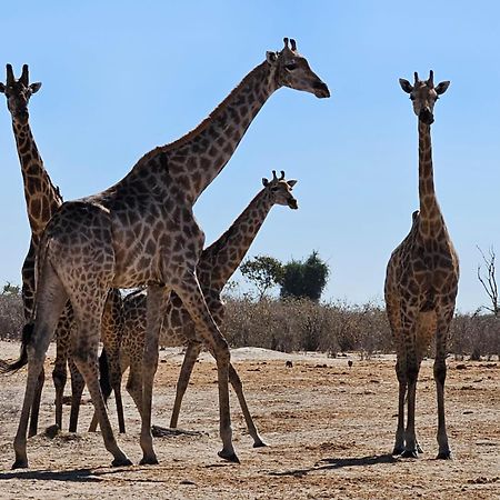 Xhabe Safari Lodge Chobe Muchenje Eksteriør bilde